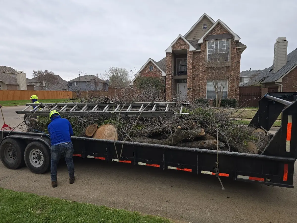 Expert Tree Removal with proper safety equipment in Hopewell